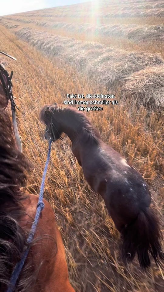 TikTok video thumbnail by feldp0rsche