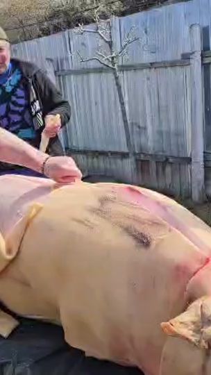TikTok video thumbnail by petrior.rileanu