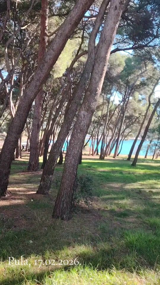 TikTok video thumbnail by denis.hrnjic
