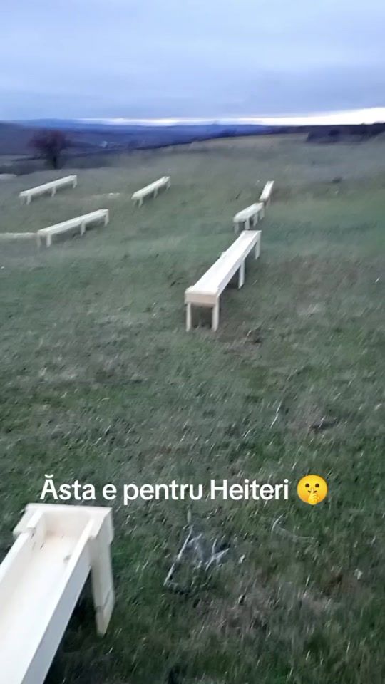 TikTok video thumbnail by baciu777