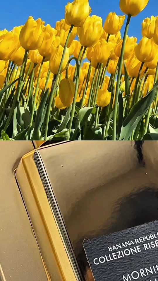 TikTok video thumbnail by fragrancedirect