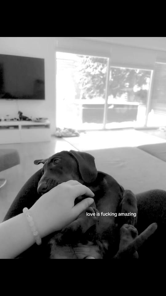 TikTok video thumbnail by laursade