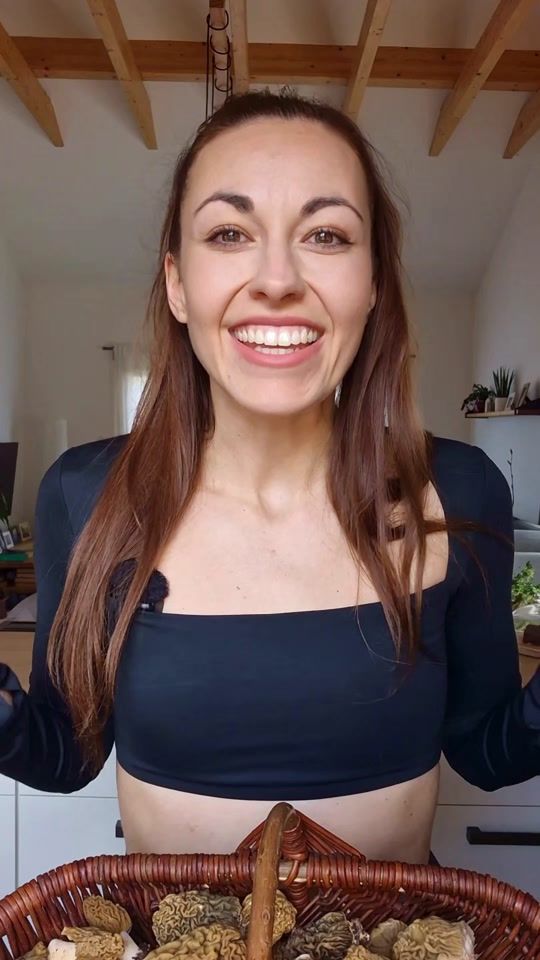 TikTok video thumbnail by sumavskahoubicka