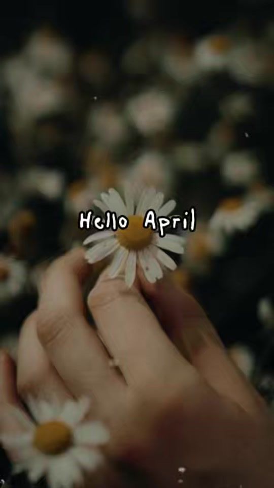 TikTok video thumbnail by kaylaahern