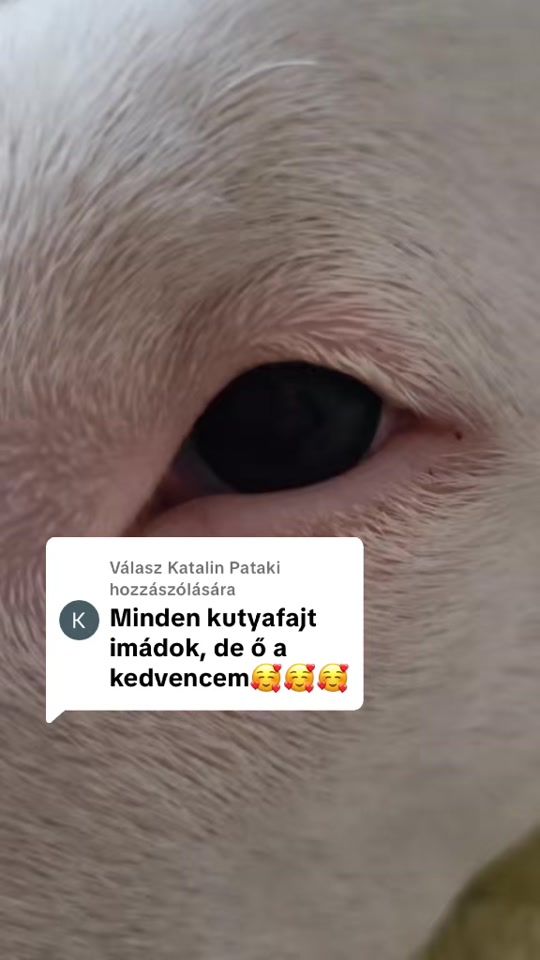 TikTok video thumbnail by tofiandaksi