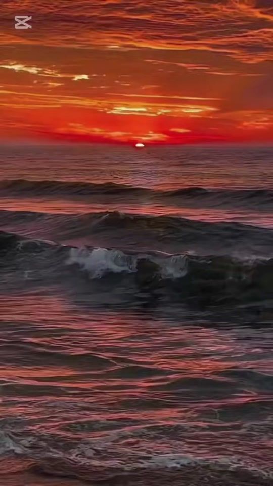 TikTok video thumbnail by barrysly