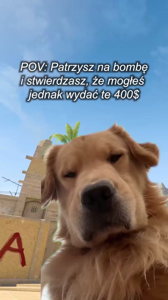 TikTok video thumbnail by k44p1