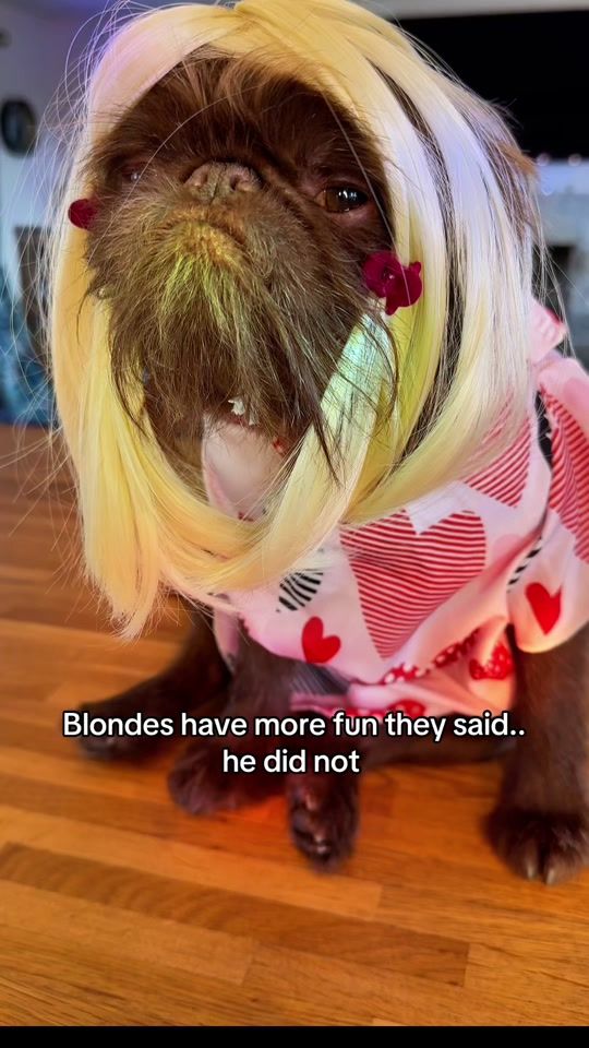 TikTok video thumbnail by griffy.girl