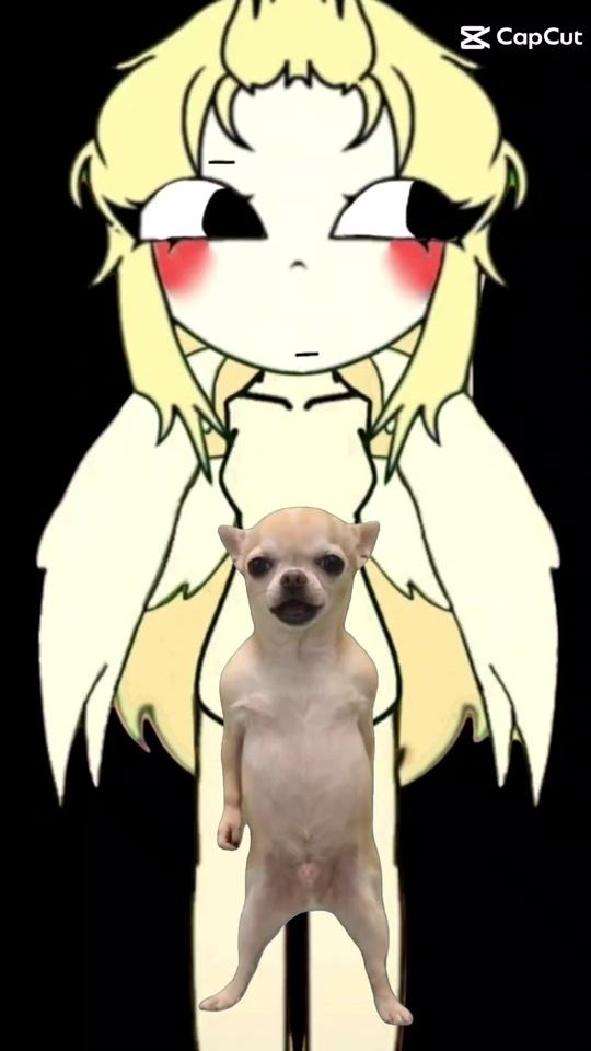 TikTok video thumbnail by dinashkins