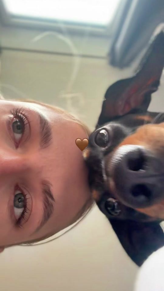 TikTok video thumbnail by beanbourne