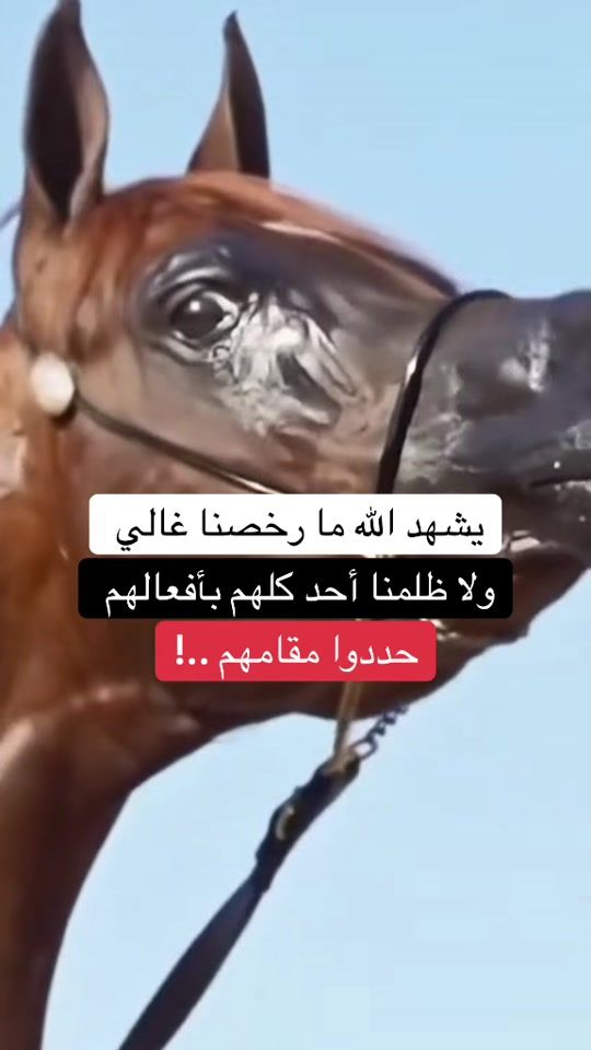 TikTok video thumbnail by nisrino444