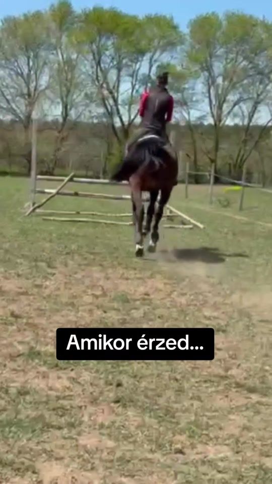 TikTok video thumbnail by f.reni89