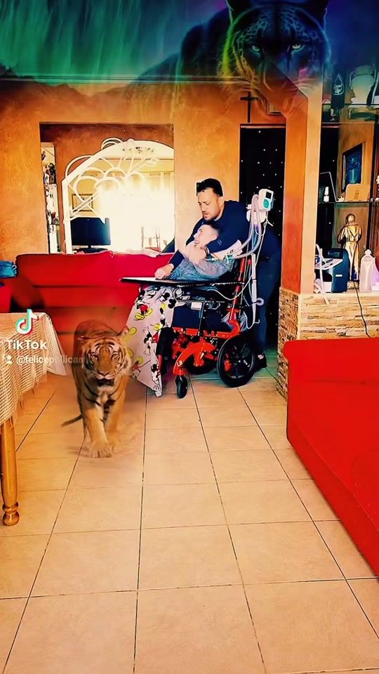 TikTok video thumbnail by felicepollicano1