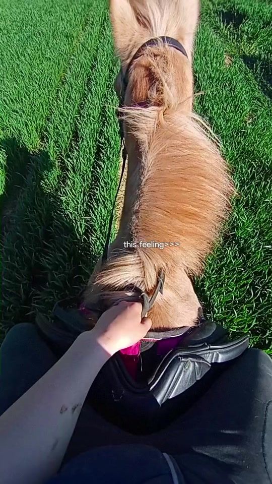 TikTok video thumbnail by natliekufnerov