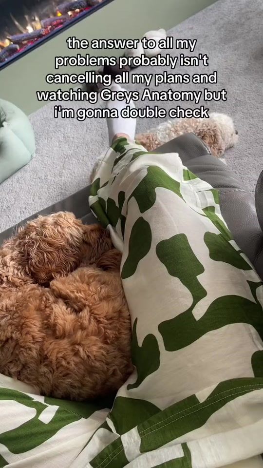 TikTok video thumbnail by mrjimhopper