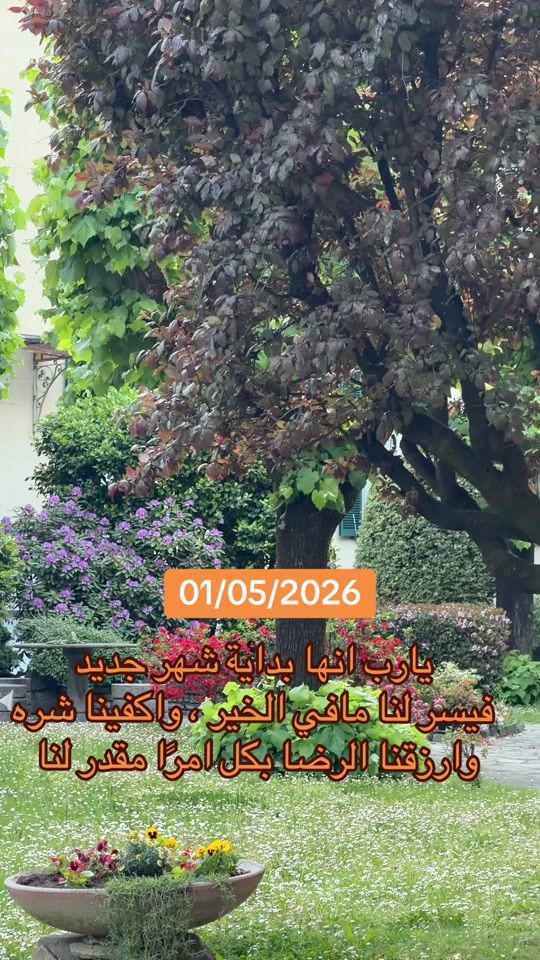 TikTok video thumbnail by hasna_el_khalifa