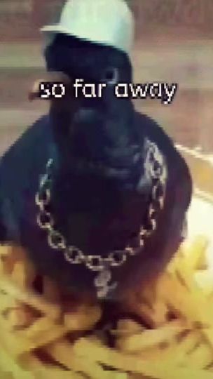 TikTok video thumbnail by inez.peniz