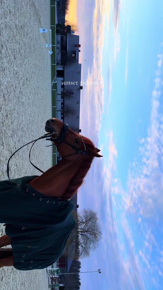 TikTok video thumbnail by h.malniece