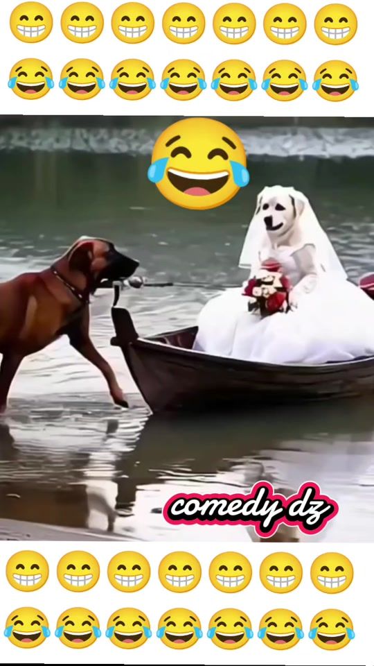 TikTok video thumbnail by comedy.dz3