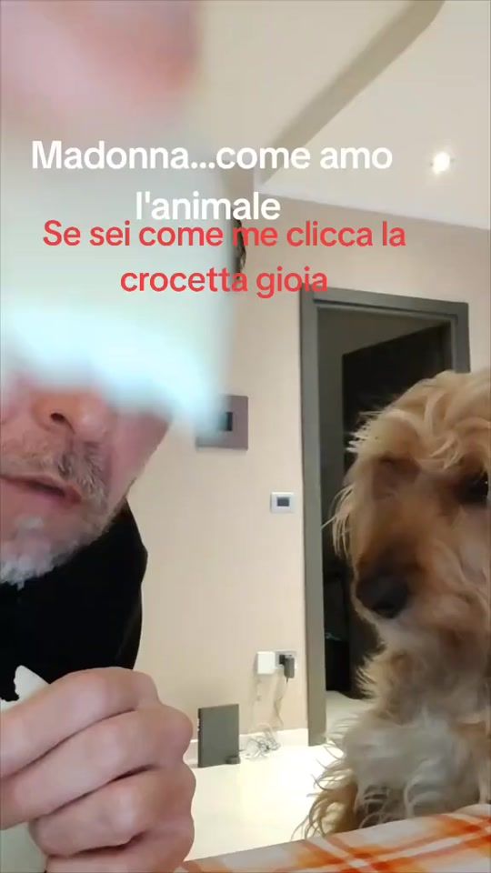 TikTok video thumbnail by giuseppescotti7