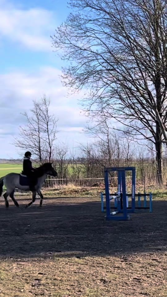 TikTok video thumbnail by aliice.equ
