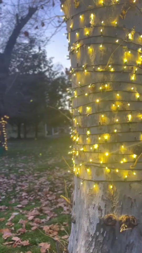 TikTok video thumbnail by shy4127