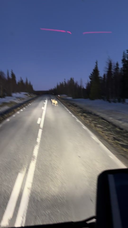 TikTok video thumbnail by martino_620