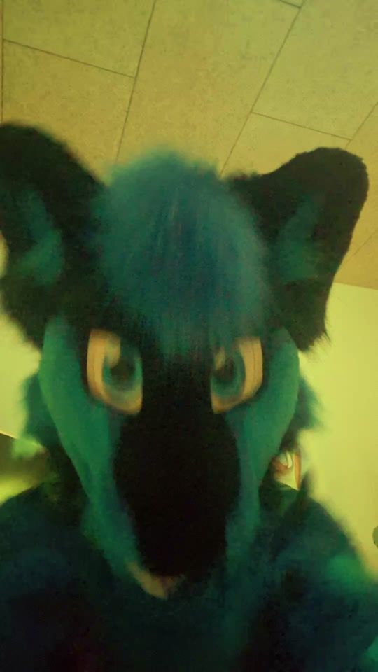TikTok video thumbnail by lesleywulf