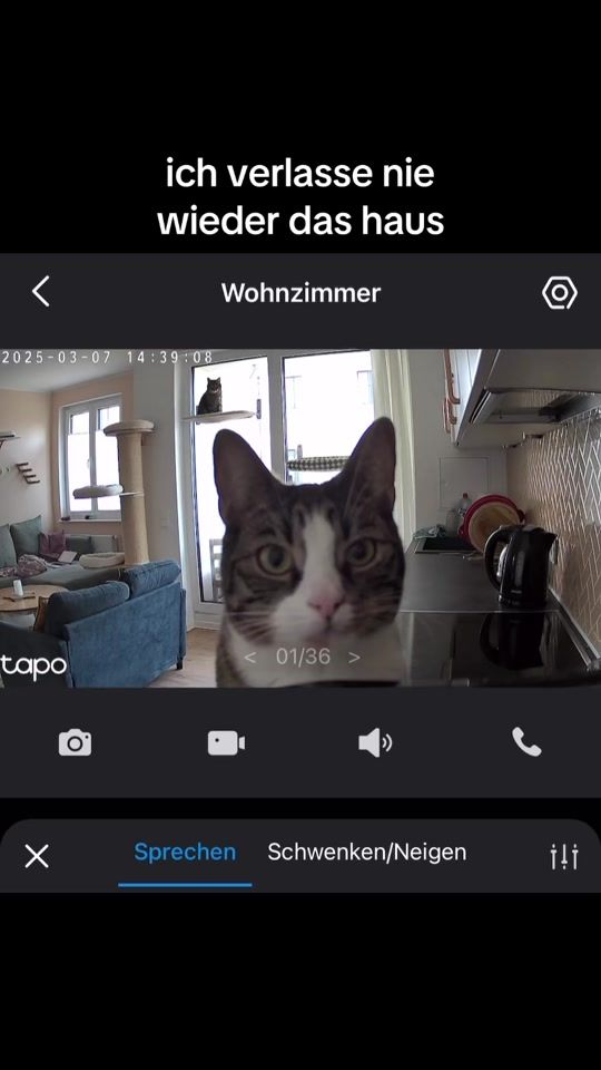 TikTok video thumbnail by caroundwilly