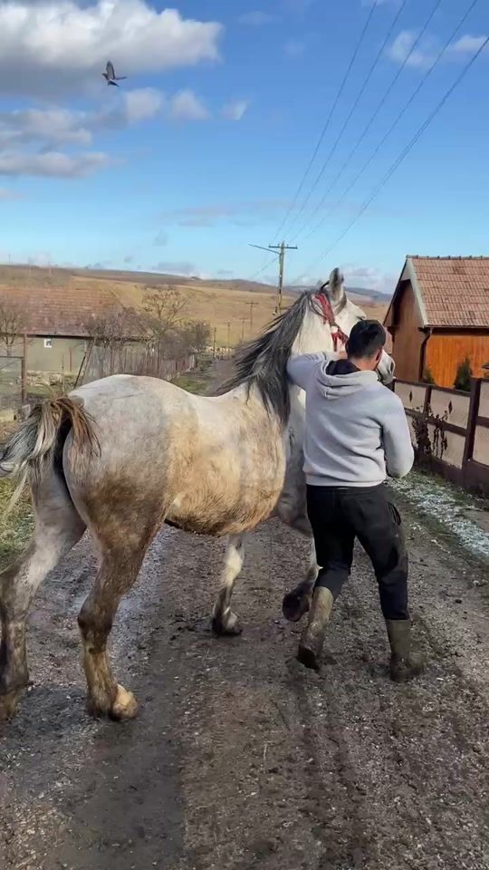 TikTok video thumbnail by andreiploscar289