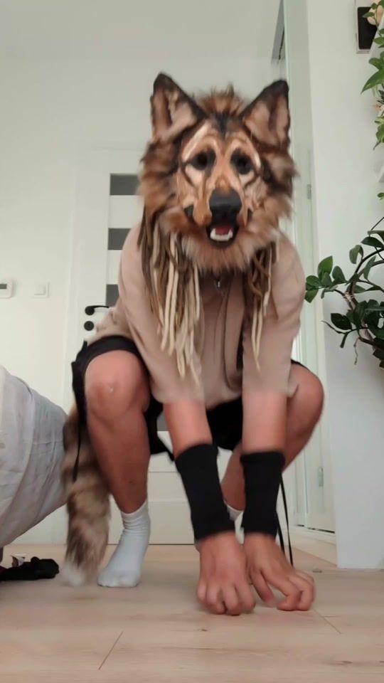 TikTok video thumbnail by wolf.spectrum