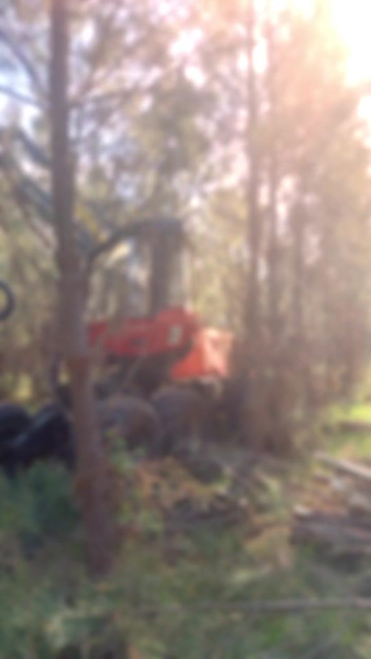 TikTok video thumbnail by tiagocovas4