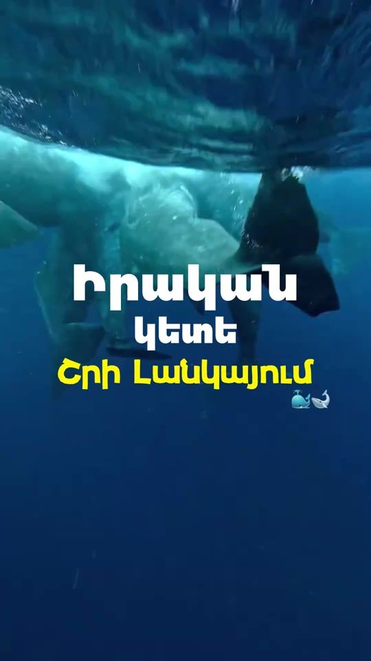 TikTok video thumbnail by aerolittourr