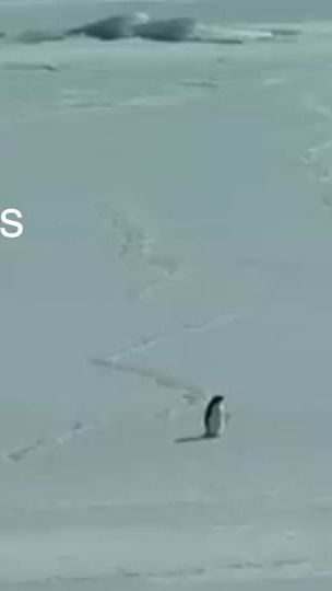 TikTok video thumbnail by lucas.hedenbeck