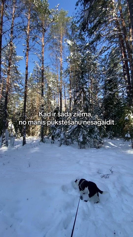 TikTok video thumbnail by amucinya