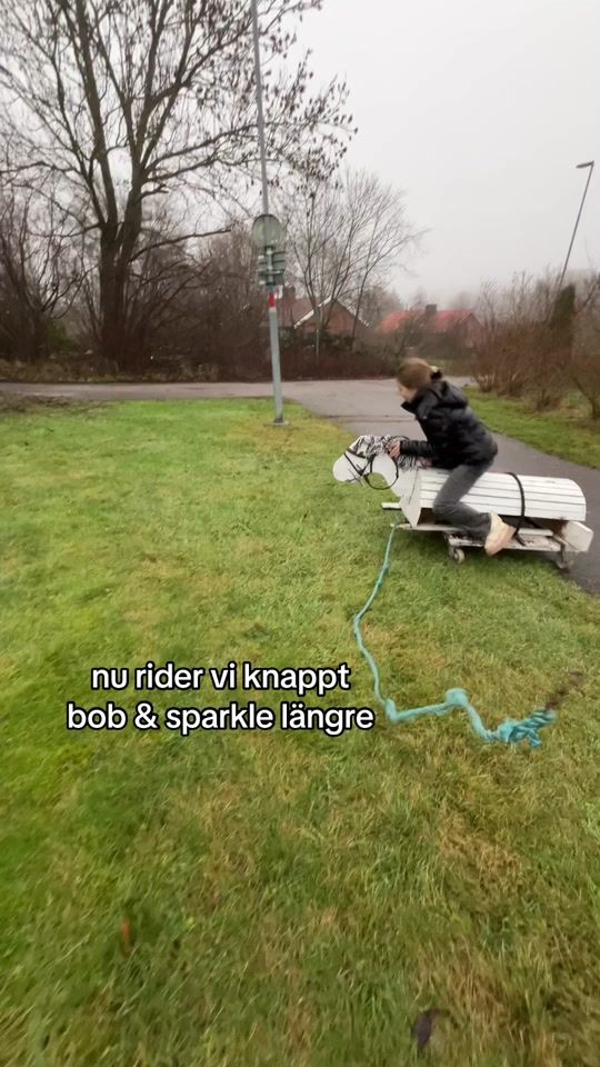 TikTok video thumbnail by bobalsskardig