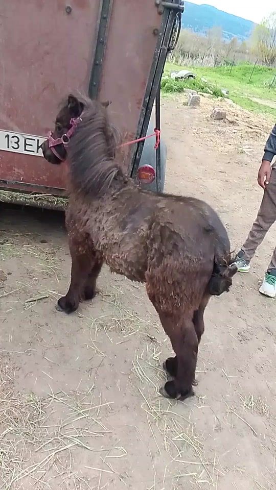 TikTok video thumbnail by bano.csabi.b152