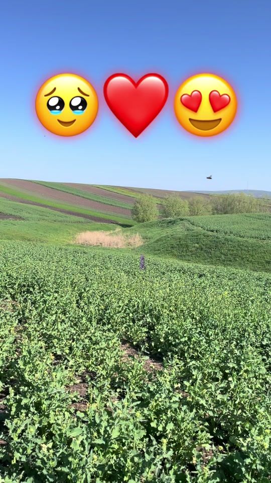 TikTok video thumbnail by florin5047