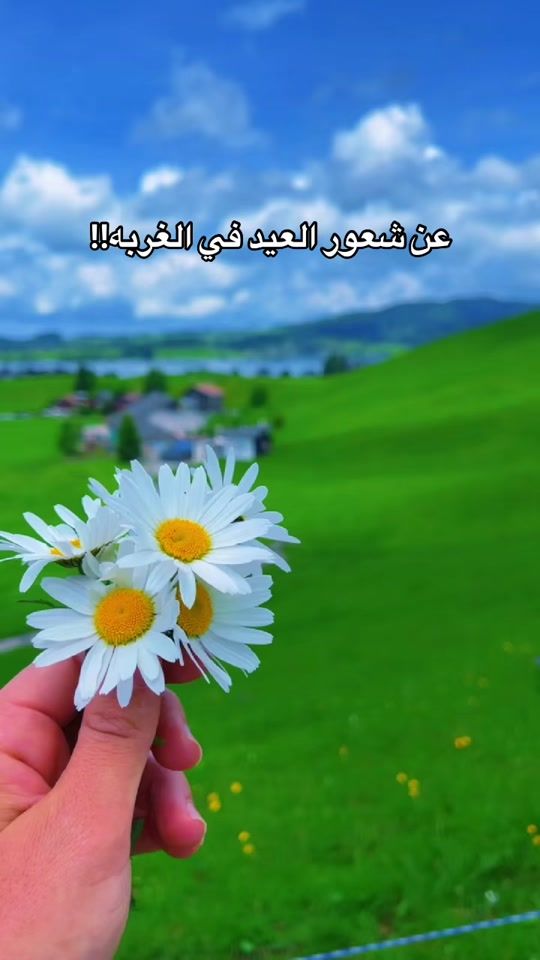TikTok video thumbnail by umomar614