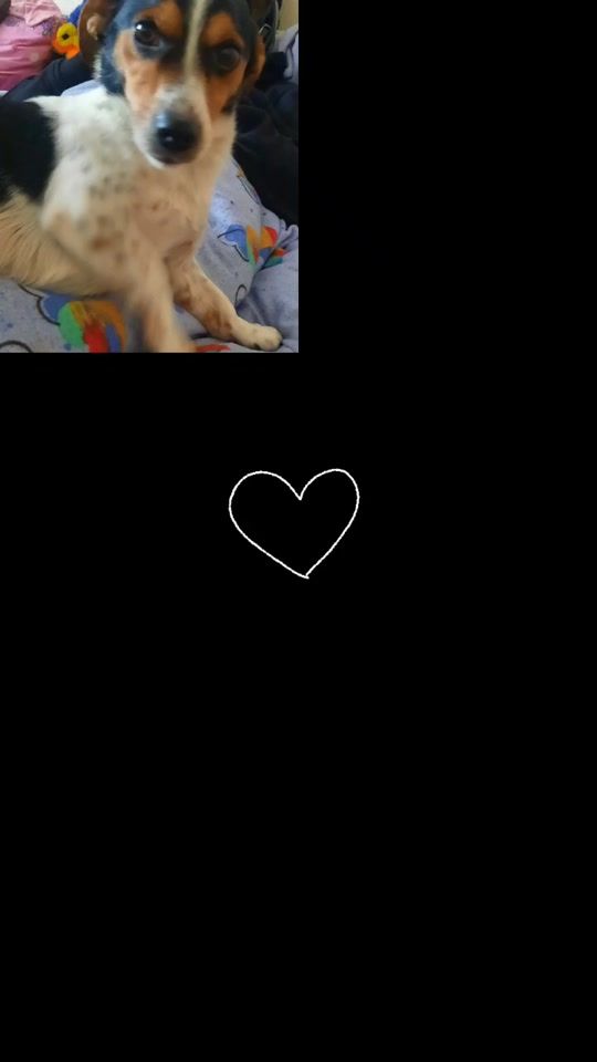 TikTok video thumbnail by leilahildebrandt5