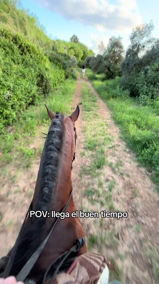 TikTok video thumbnail by danidelgaado