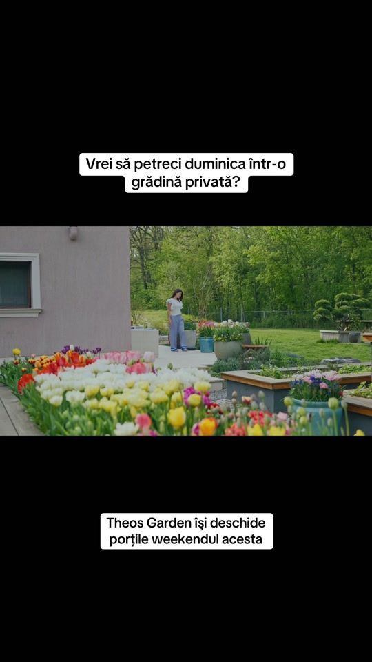 TikTok video thumbnail by naturaldesign.ro