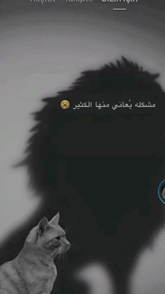 TikTok video thumbnail by kgni5