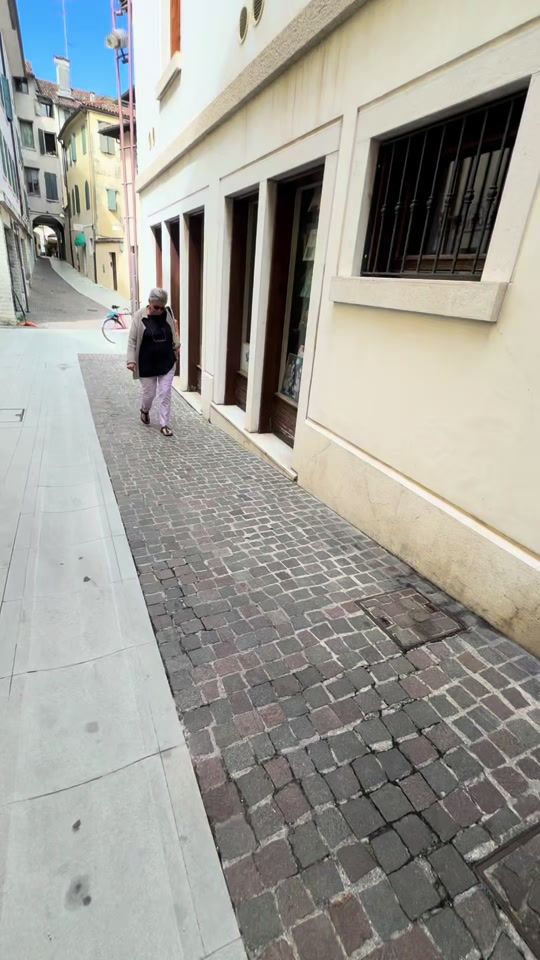TikTok video thumbnail by wabis_albi