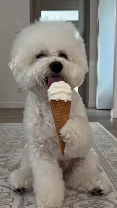 TikTok video thumbnail by bohunka.b