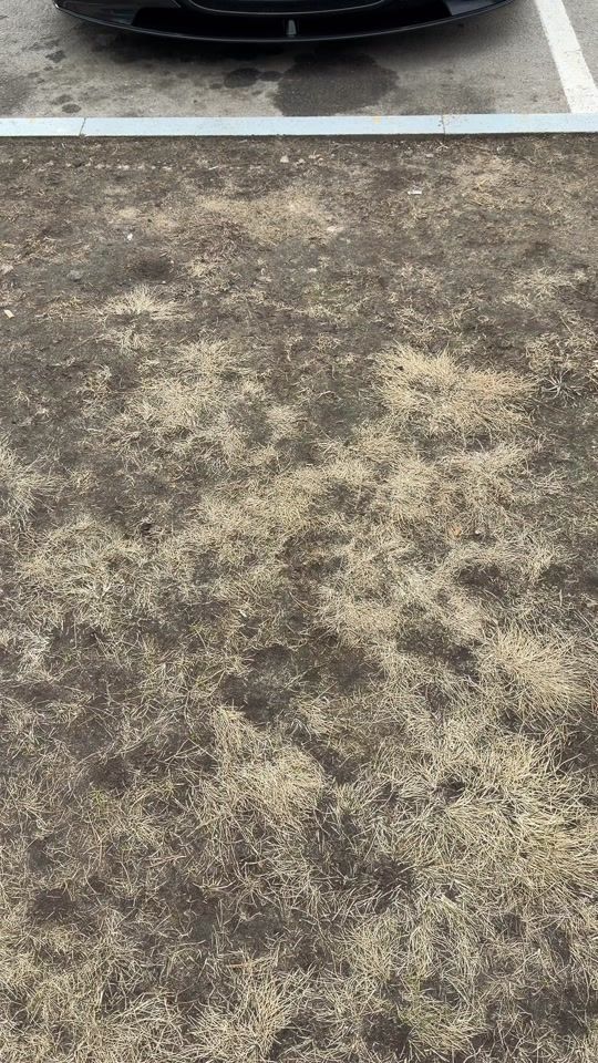 TikTok video thumbnail by gastello_drive