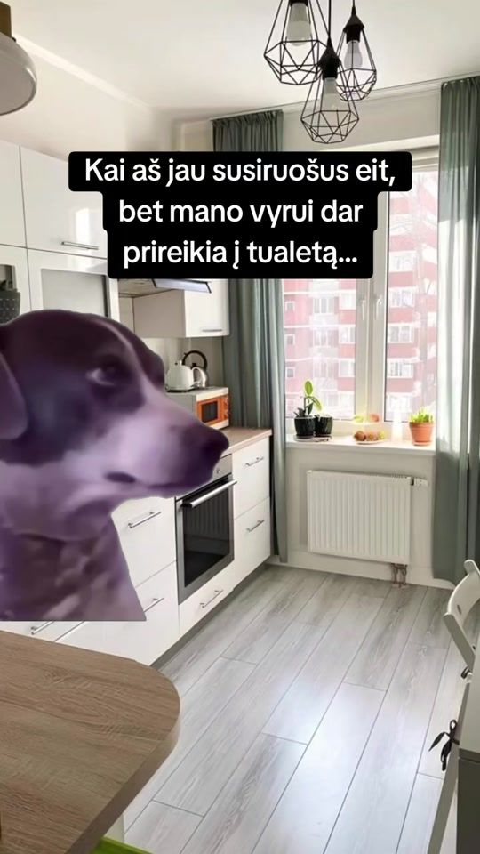 TikTok video thumbnail by kotleteliss