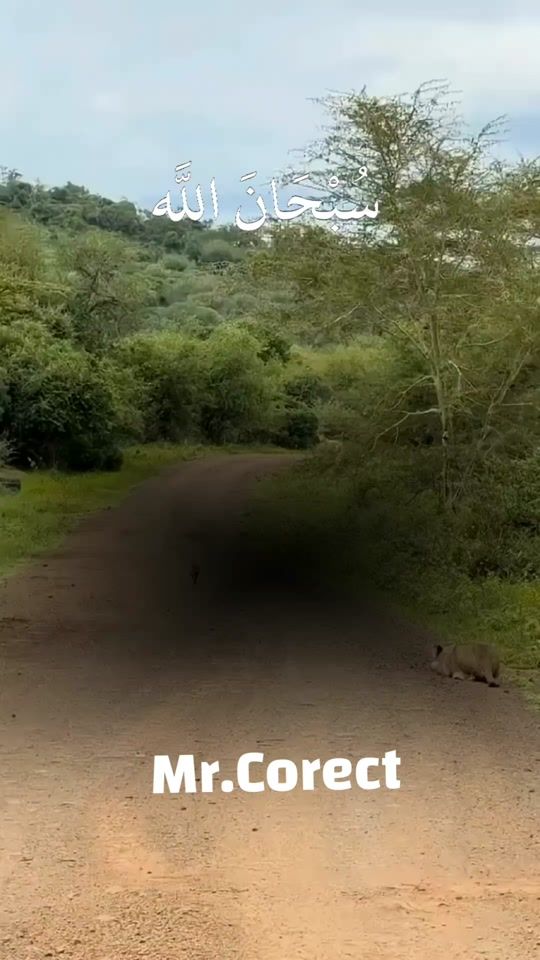 TikTok video thumbnail by mr.corect