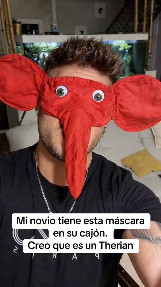 TikTok video thumbnail by soyfelber