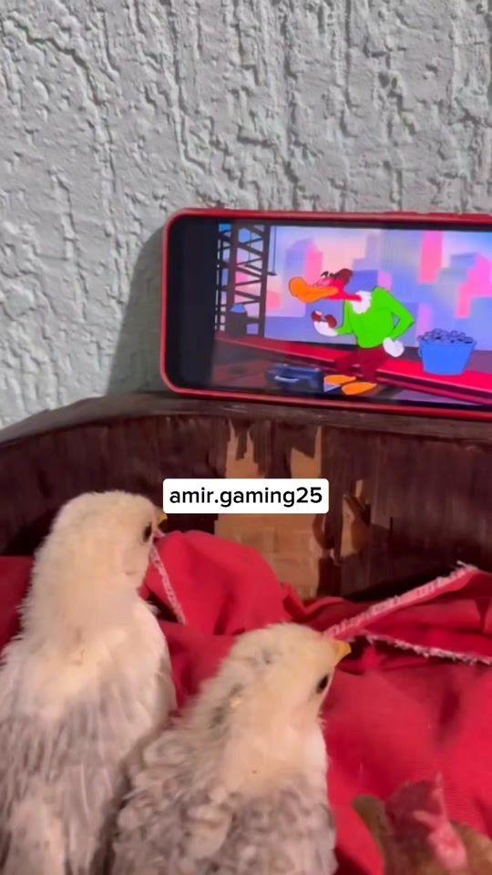 TikTok video thumbnail by amir.gaming25